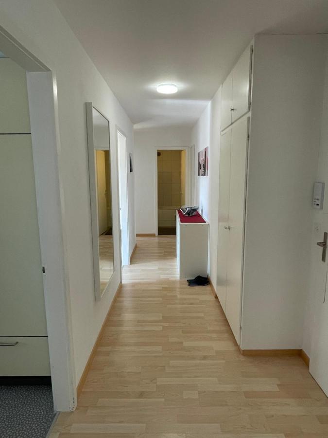 3-Room Apartment For Business Travelers & Families, Free Wifi & Tv With 70 Countries, Dazn, Sky, Netflix & Disney Wynau Экстерьер фото
