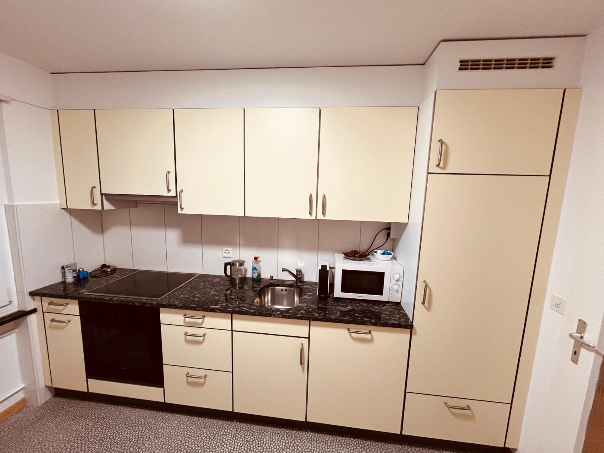 3-Room Apartment For Business Travelers & Families, Free Wifi & Tv With 70 Countries, Dazn, Sky, Netflix & Disney Wynau Экстерьер фото